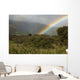 Hawaii, Maui, A rainbow over the lush Kaupo Gap Wall Mural