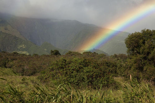 Hawaii, Maui, A rainbow over the lush Kaupo Gap Wall Mural