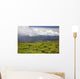 Lush fields with view of the ocean and bright blue sky with clouds Wall Mural