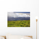 Lush fields with view of the ocean and bright blue sky with clouds Wall Mural