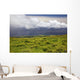 Lush fields with view of the ocean and bright blue sky with clouds Wall Mural