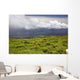 Lush fields with view of the ocean and bright blue sky with clouds Wall Mural