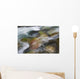 A close up of colorful river rocks under water Wall Mural