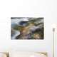 A close up of colorful river rocks under water Wall Mural