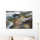 A close up of colorful river rocks under water Wall Mural