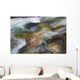 A close up of colorful river rocks under water Wall Mural
