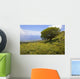 Hawaii, Maui, Lush foliage and tree in Kaupo Gap Wall Mural