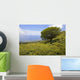Hawaii, Maui, Lush foliage and tree in Kaupo Gap Wall Mural
