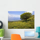 Hawaii, Maui, Lush foliage and tree in Kaupo Gap Wall Mural