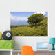 Hawaii, Maui, Lush foliage and tree in Kaupo Gap Wall Mural