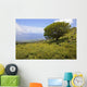 Hawaii, Maui, Lush foliage and tree in Kaupo Gap Wall Mural