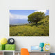 Hawaii, Maui, Lush foliage and tree in Kaupo Gap Wall Mural
