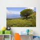 Hawaii, Maui, Lush foliage and tree in Kaupo Gap Wall Mural