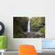 Hawaii, Maui, Alalele Falls on the Road to Hana Wall Mural