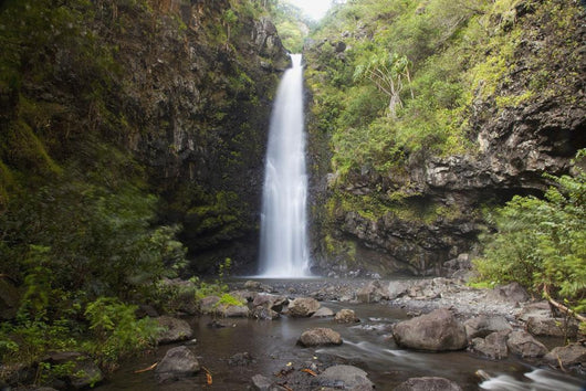 Hawaii, Maui, Alalele Falls on the Road to Hana Wall Mural