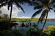 Hawaii, Maui, A sunny view of Waianapanapa from behind palm trees Wall Mural