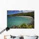 A sunny view of Hamoa Beach with clear ocean on a calm day Wall Mural