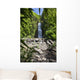 Hawaii, Maui, Hana, A waterfall surrounded by lush bamboo plants Wall Mural