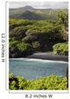 Hawaii, Maui, Hana, The Black Sand Beach of Waianapanapa Wall Mural