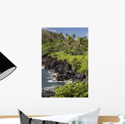 Hawaii, Maui, Hana, The Black Sand Beach of Waianapanapa Wall Mural