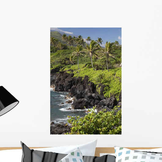 Hawaii, Maui, Hana, The Black Sand Beach of Waianapanapa Wall Mural