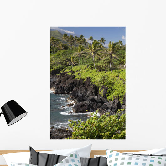 Hawaii, Maui, Hana, The Black Sand Beach of Waianapanapa Wall Mural