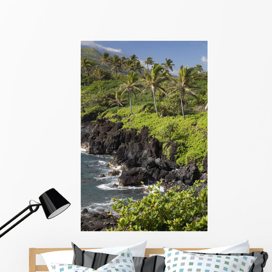 Hawaii, Maui, Hana, The Black Sand Beach of Waianapanapa Wall Mural