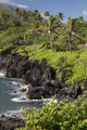 Hawaii, Maui, Hana, The Black Sand Beach of Waianapanapa Wall Mural
