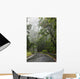 Hawaii, Maui, The lush Road To Hana Wall Mural