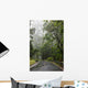Hawaii, Maui, The lush Road To Hana Wall Mural