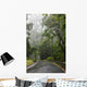 Hawaii, Maui, The lush Road To Hana Wall Mural