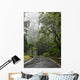 Hawaii, Maui, The lush Road To Hana Wall Mural
