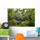 Hawaii, Maui, The lush Road To Hana Wall Mural