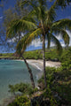 A sunny view of Hamoa Beach with clear ocean on a calm day Wall Mural