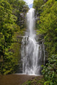 Hawaii, Maui, Wailua Falls, Large falls with lush foliage Wall Mural