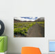Hawaii, Maui, Haleakala, The hiking trail through the Volcanic Crater Wall Mural