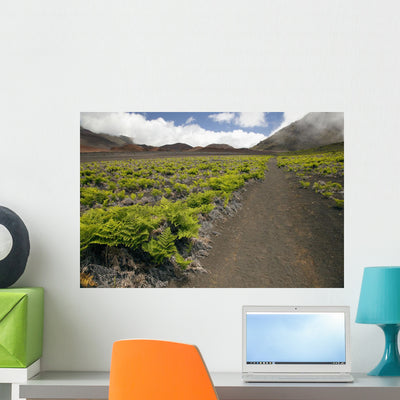 Hawaii Maui Haleakala Hiking Wall Mural shown on a wall