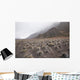 Hawaii, Maui, Haleakala, The hiking trail through the Volcanic Crater Wall Mural