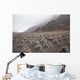 Hawaii, Maui, Haleakala, The hiking trail through the Volcanic Crater Wall Mural