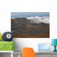 Hawaii, Maui, Haleakala crater Wall Mural