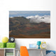 Hawaii, Maui, Haleakala crater Wall Mural