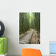 Trail through bamboo forest on the Pipiwai trail Wall Mural