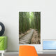 Trail through bamboo forest on the Pipiwai trail Wall Mural