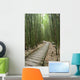 Trail through bamboo forest on the Pipiwai trail Wall Mural