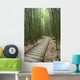 Trail through bamboo forest on the Pipiwai trail Wall Mural