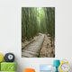 Trail through bamboo forest on the Pipiwai trail Wall Mural