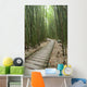 Trail through bamboo forest on the Pipiwai trail Wall Mural