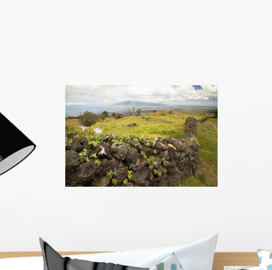 Hawaii, Maui, Kula, A stone wall lines a country road Wall Mural