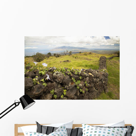 Hawaii, Maui, Kula, A stone wall lines a country road Wall Mural