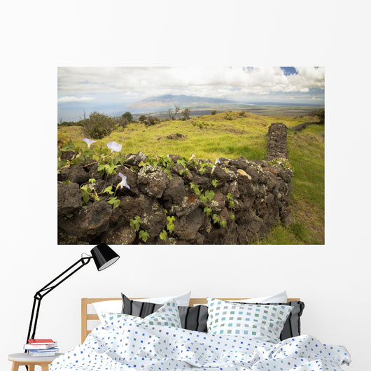 Hawaii, Maui, Kula, A stone wall lines a country road Wall Mural